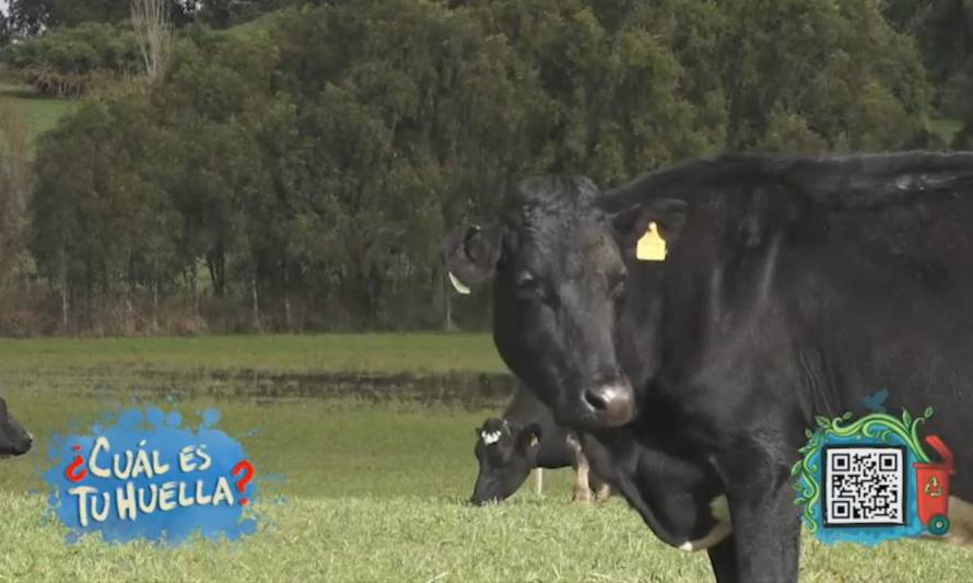 Programa ¿Cuál es tu huella? de TVN analiza los avances de la industria agropecuaria en materia de sustentabilidad