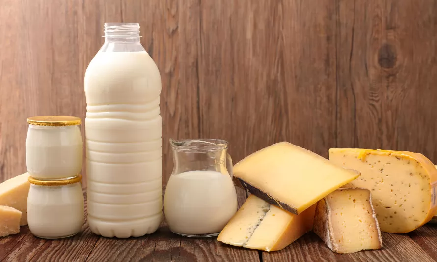 Importaciones de productos lácteos suben un 3,2% a mayo 2022