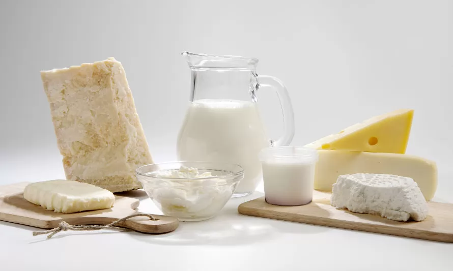 Nueva Zelanda: Fonterra eleva el pago de la leche después de un buen comienzo de año financiero