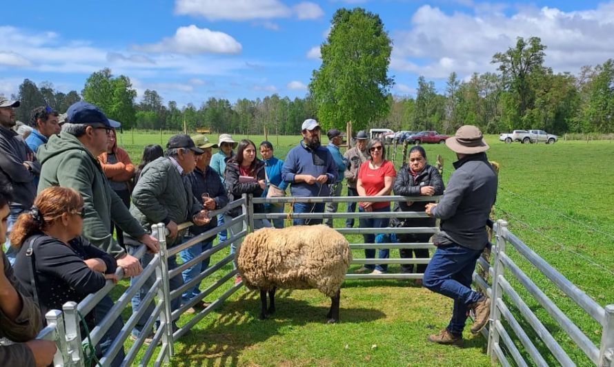 Adecuado manejo incrementa productividad forrajera bajo estrés calórico y sequía