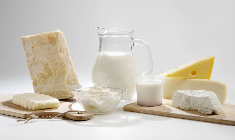 Uruguay: sigue en descenso la exportación de lácteos