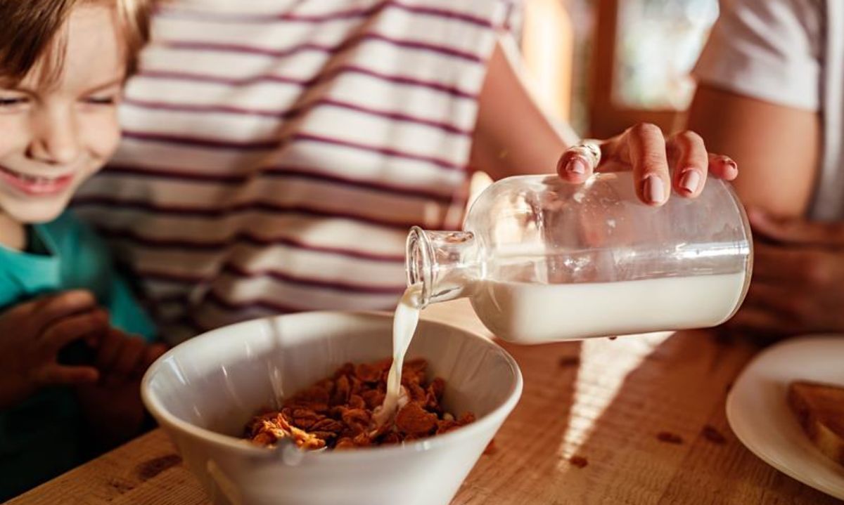 Estudio posiciona a los cereales de grano entero como alimento clave para el desayuno