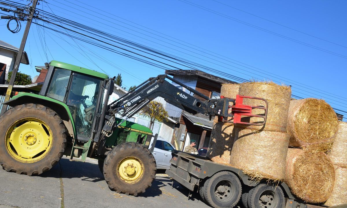 Ejército se suma a apoyo de pequeños agricultores de Lanco afectados por sistema frontal 