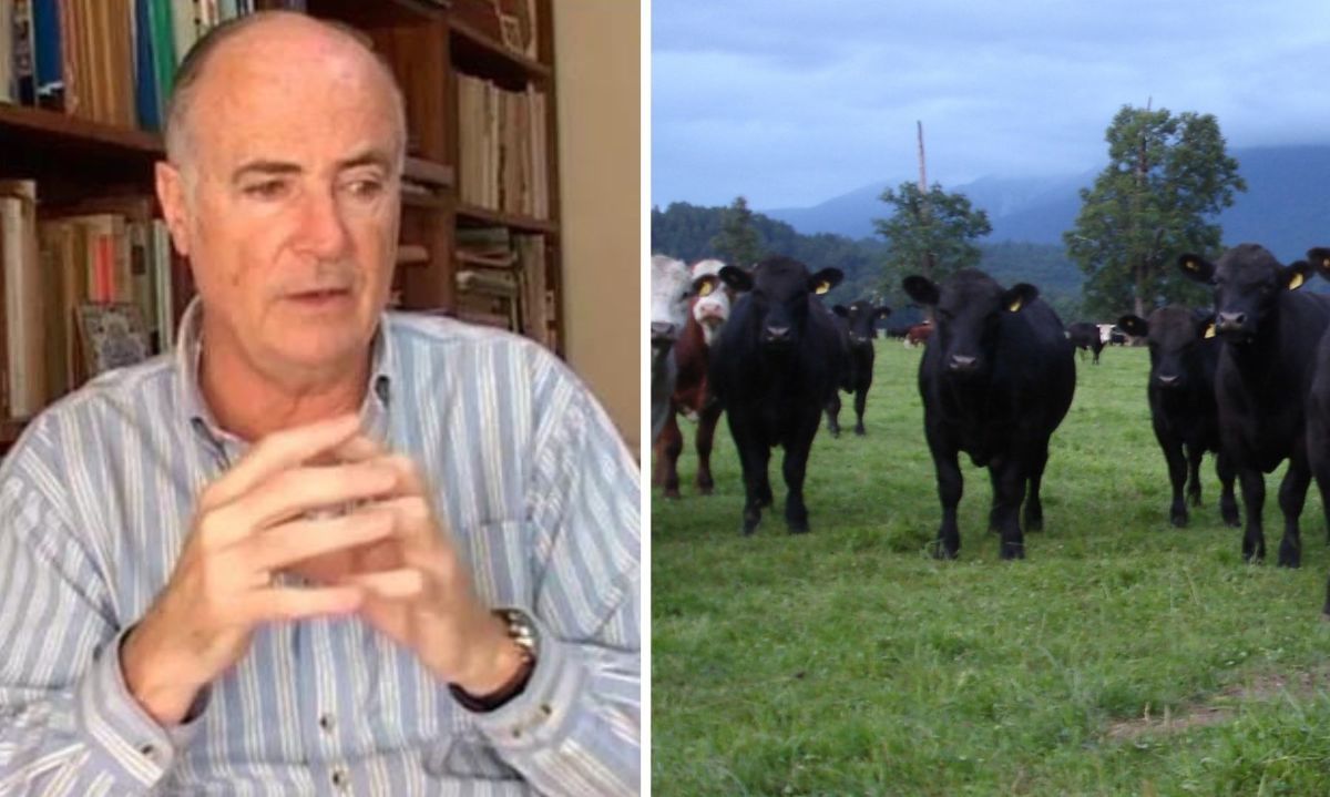 Invitan a encuentro de la cadena productiva y comercial de carne bovina: "Perspectivas Ganaderas 2025-2027"