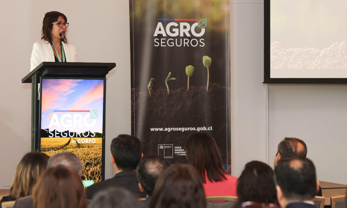 Destaca aporte de los seguros agropecuarios al crecimiento y a la resilencia del sector agrícola chileno