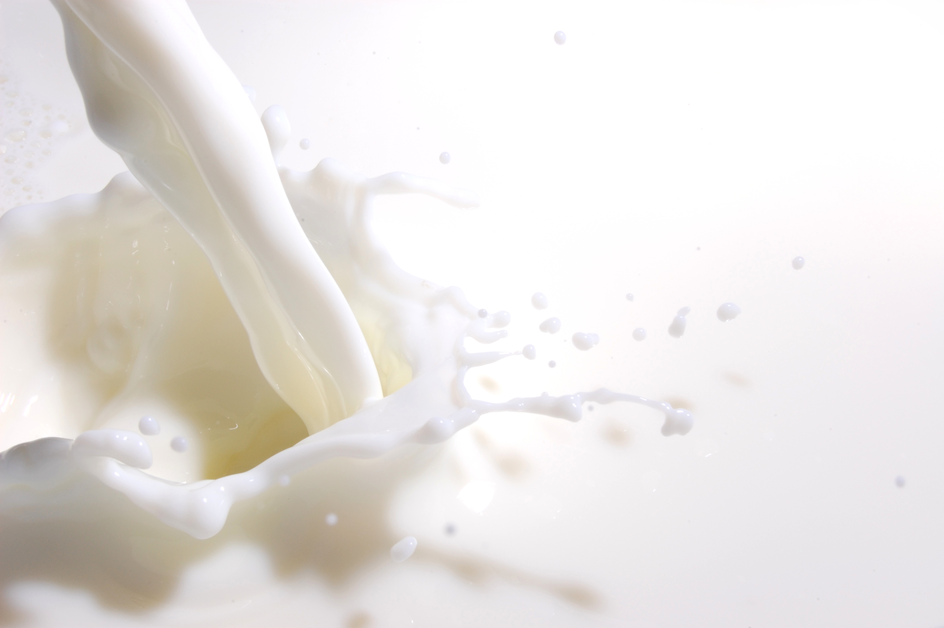 Los precios internacionales de la leche tocan máximos históricos
